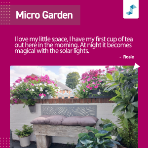 Stonewater Gardening competition 2025 - Micro Garden winner