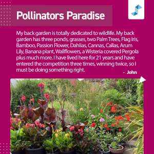Stonewater Gardening competition 2025 - Pollinators Paradise winner