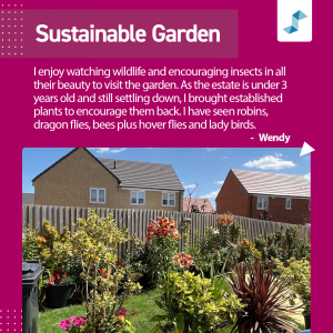 Stonewater Gardening competition 2025 - Sustainable Garden winner