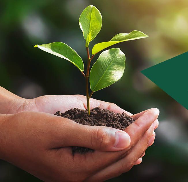 Social media graphic2