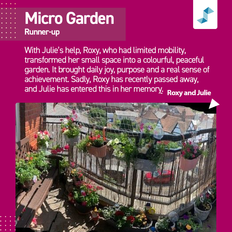 Micro Garden - runner-up - Stonewater gardening competition 2026