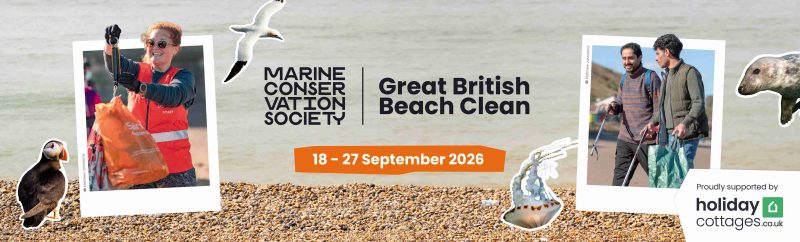 Image advertising Great British Beach Clean 2026
